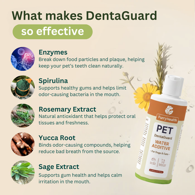 DentaGuard™ Water Additive