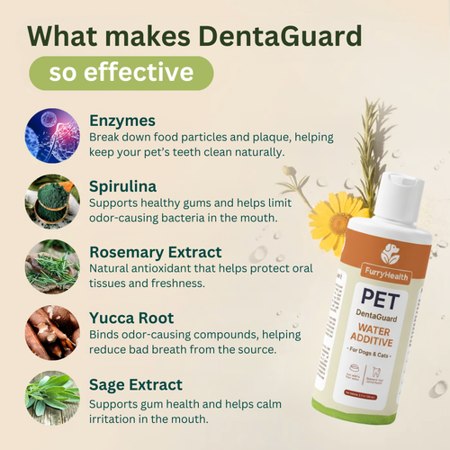 DentaGuard™ Water Additive