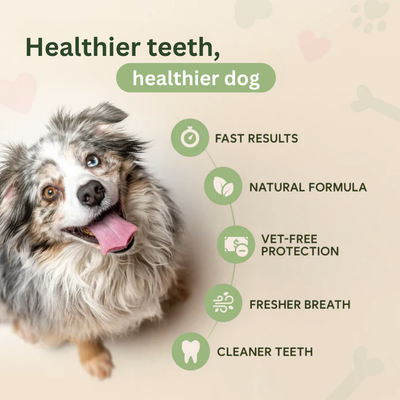 DentaGuard™ Water Additive