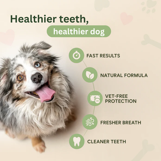 DentaGuard™ Water Additive