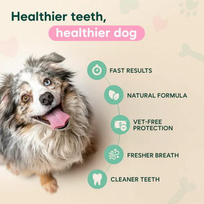 DentaClean Spray for Dogs