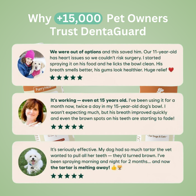 DentaGuard™ Water Additive